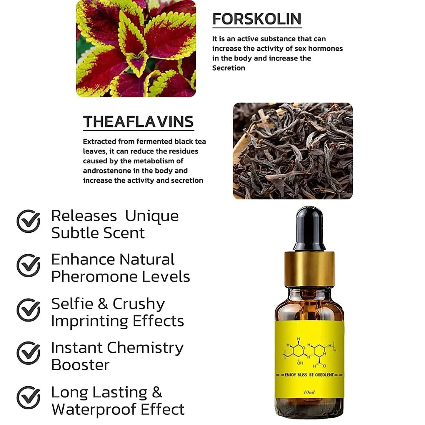 Pheromone Perfume Oil for Men – Long-Lasting Attraction &amp; Confidence Boost, 10ml