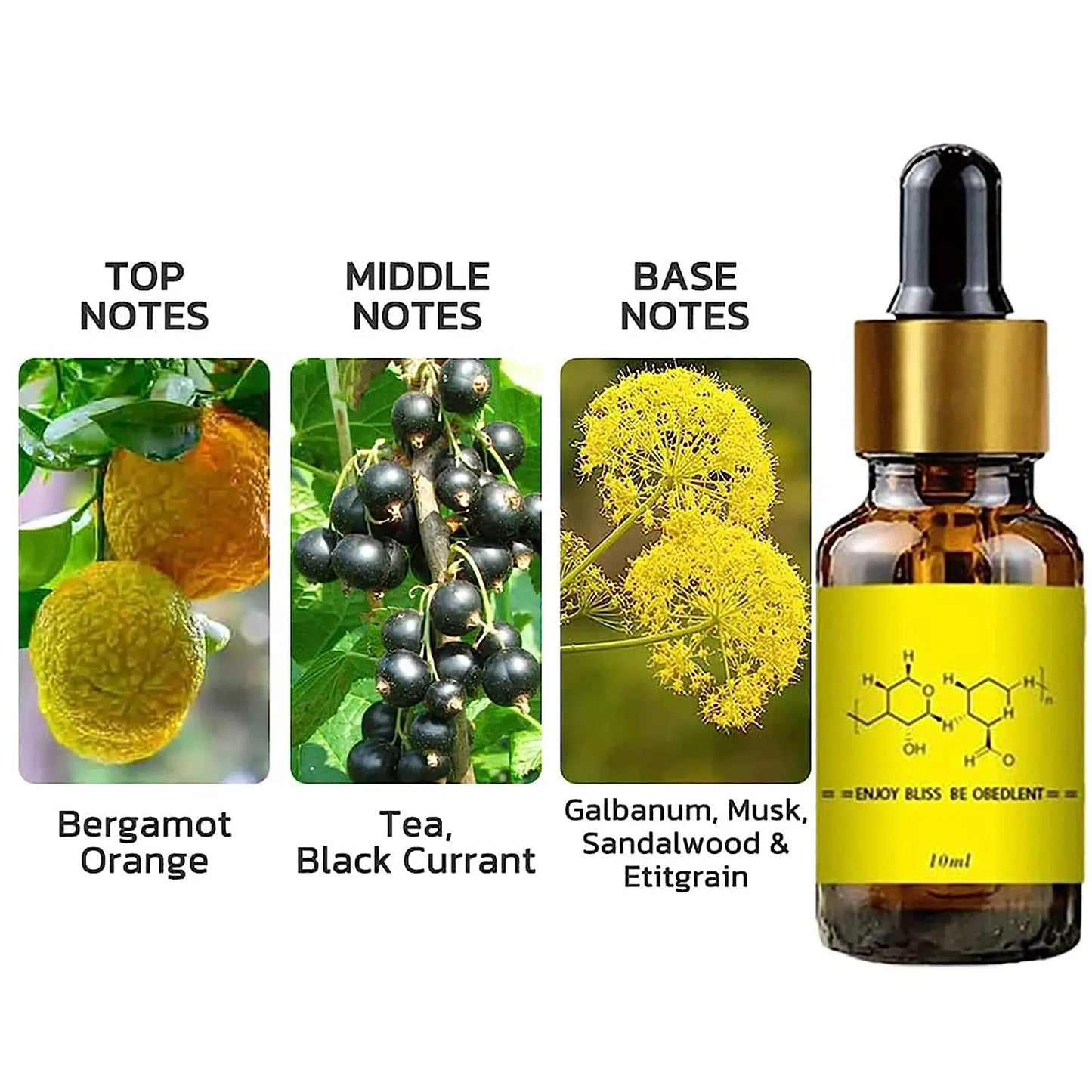 Pheromone Perfume Oil for Men – Long-Lasting Attraction &amp; Confidence Boost, 10ml